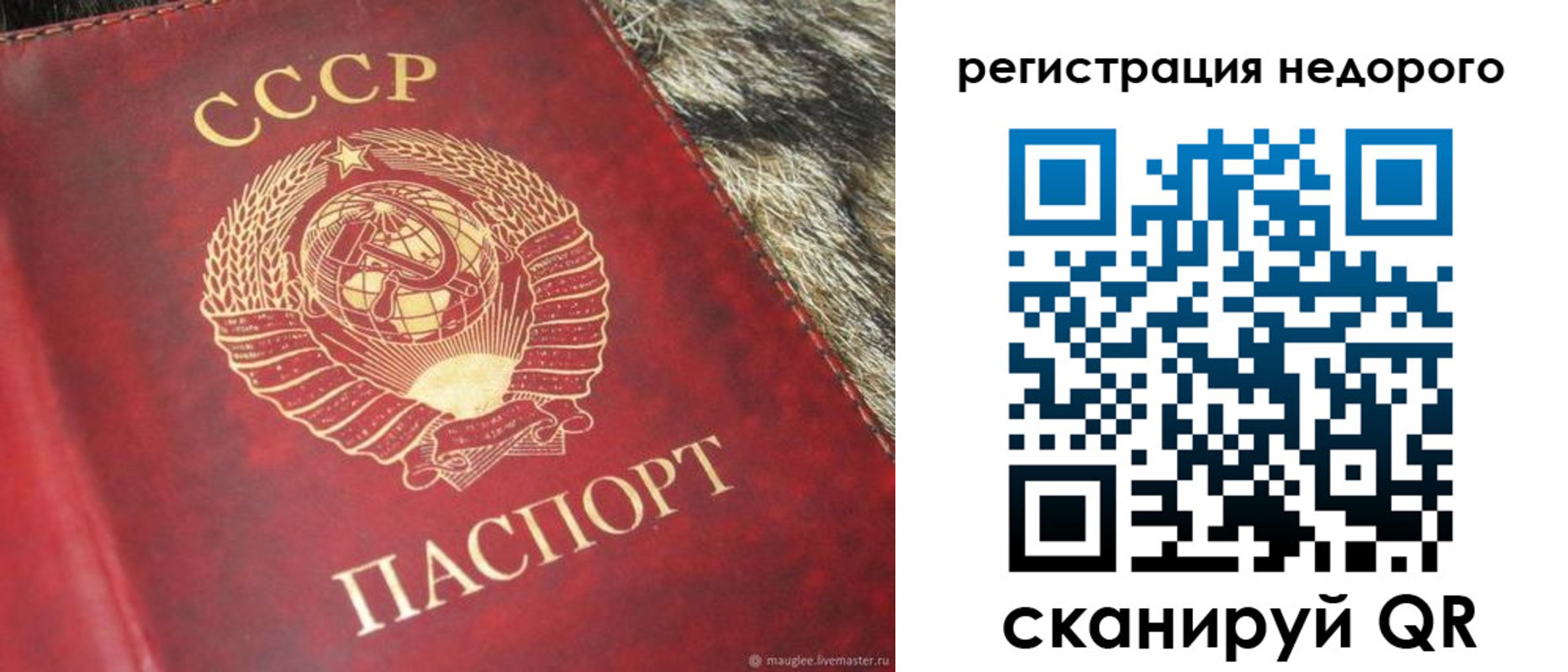 прописка ребенка в Владикавказе